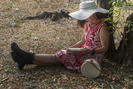 坐在草坪上倚着大树看书的女士背景图片