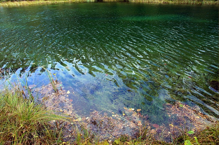 宁静冷的农村池塘上透明水的美丽图片