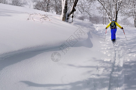 冬季运动员在滑雪图片
