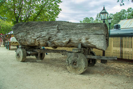 日志记录澳大利亚维多州埃丘卡带木轮的旧车日志子运输图片