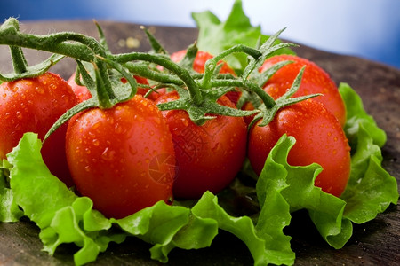红番茄照片生菜床上下水滴超过红色的背景图片