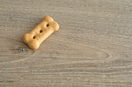 单身狗饼干骨头咀嚼食物图片
