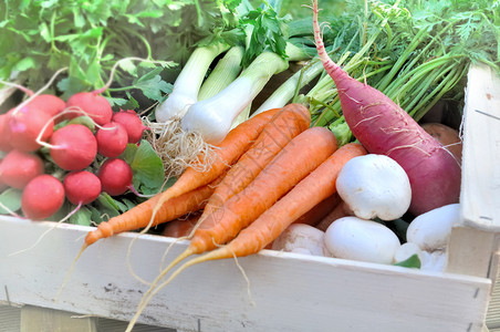 在托盘中鲜少新蔬菜有机的营养饮食图片