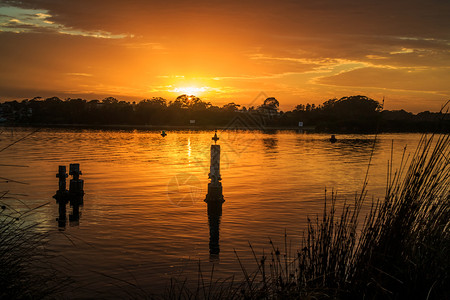 日出格林威尔点新苏特士南澳大利亚橙海伦系泊图片