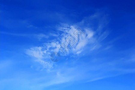 空气羽毛状天堂夏日青蓝空的画面图片
