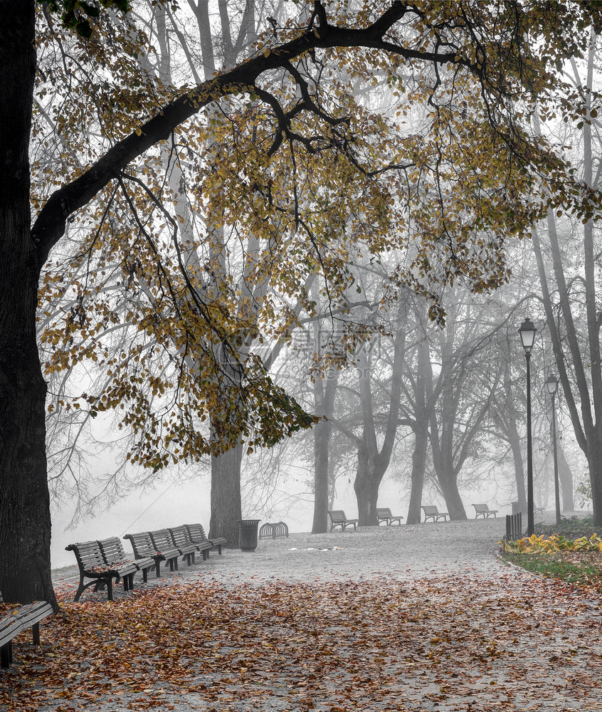 早期的多雾路段时间伯纳花园维尔尼亚河纽斯立陶宛金秋天清晨雾图片