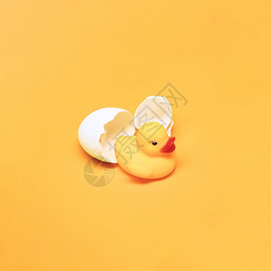 黄死活浴鸭蛋厨房生黄色的背景图片