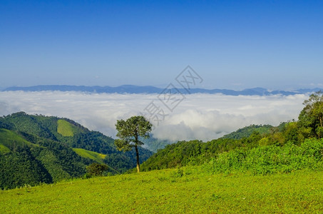 夏日山顶的云海和远山图片