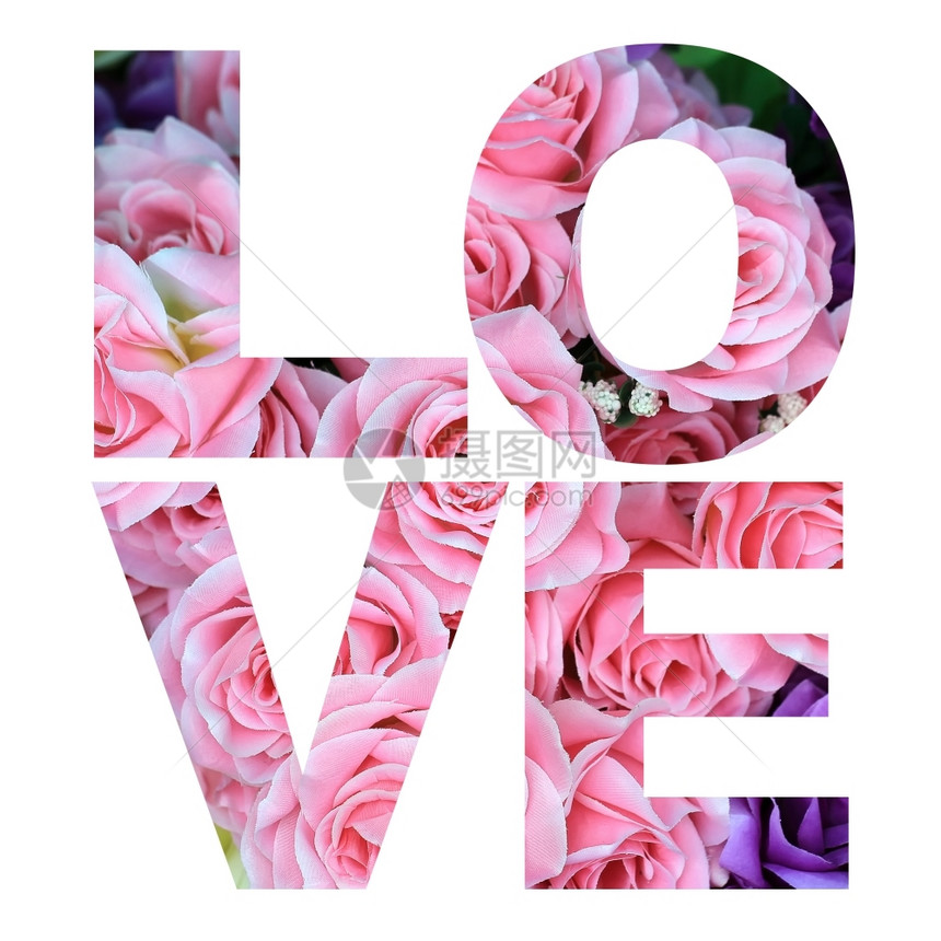 白色背景的玫瑰花相片所造就的爱情字词语言母象征图片
