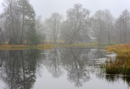 秋天被薄雾笼罩的湖面图片