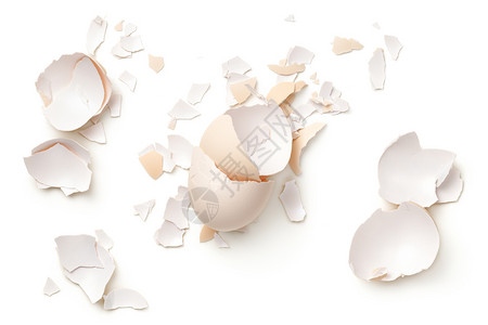破碎的蛋壳图片