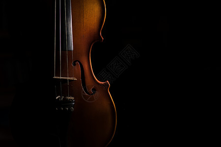 黑色背景小提琴背景图片