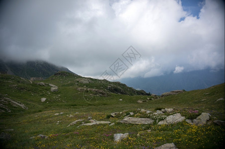 山间的森林和草地的美景图片