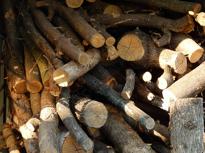 木制的树桩质材砍伐图片