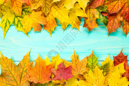 多彩秋叶边框背景图片