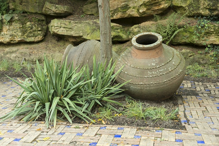 以岩石作为花园背景的老瓶和格伦植物老的黏土棕色图片