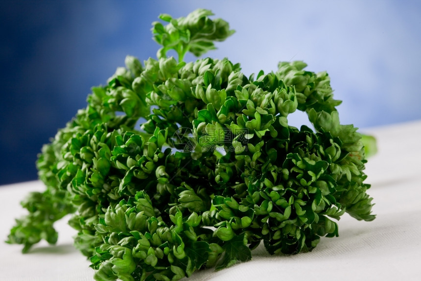 卷曲食物蓝色背景前白毛巾上美味的绿色和新鲜欧芹的照片图片