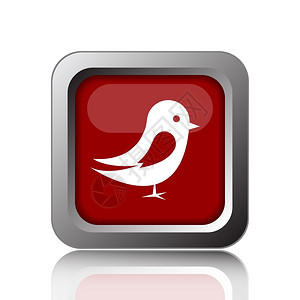 可爱花边按钮现代的白色背景上Bird图标互联网按钮唧喳动物设计图片