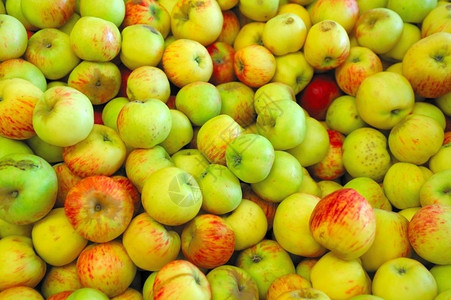 新鲜收获的绿色和黄苹果部分变成红色绿黄和红苹果素食主义者营养用图片