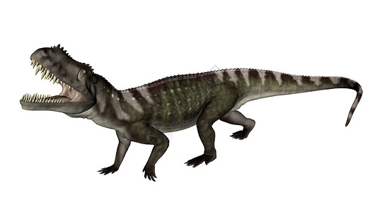 插图恐龙在白色背景下咆哮三维化身动物爬虫图片