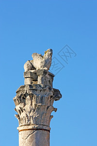 欧洲威尼斯狮子在Zadar专栏的顶端建筑学威尼斯人图片