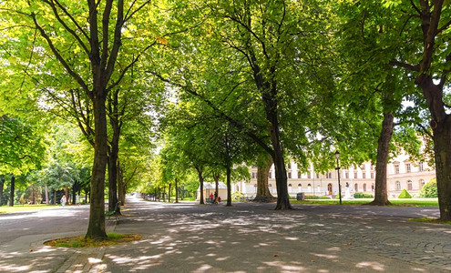 走道街绿色夏季Bastions公园有美丽的大树瑞士日内瓦背景图片