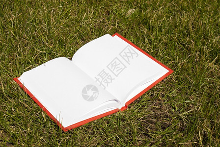在草地上铺有白页的开放书精装白色的克拉夫琴科图片