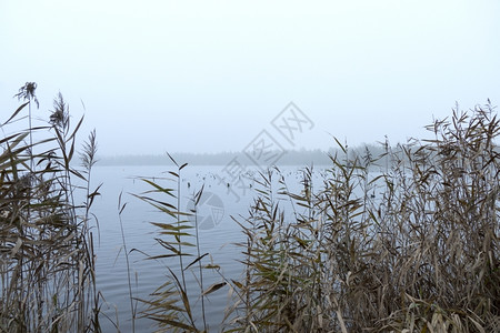 多云的弗利特兰登湖上一个的清晨天空阴霾图片