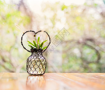 绿色光天化日用电线和生长植物制成的美丽手工花瓶水白天图片