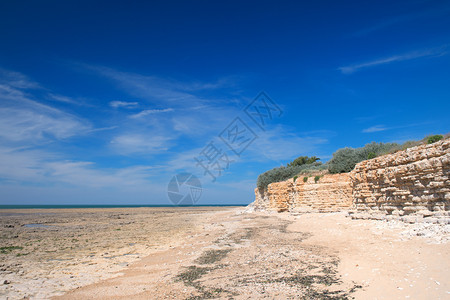 苔藓石头景观圣玛丽恩里岛IledeRe岛上有岩石的海滩背景图片