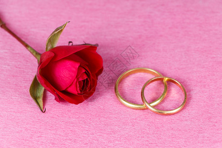 花金子粉红色背景的金玫瑰两枚结婚戒指天图片