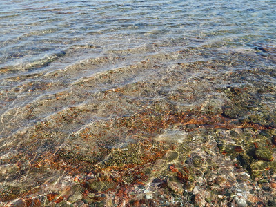 埃及红海水的质埃及红海清除太阳鱼图片