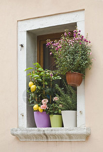窗户地中海花盆锅传统的背景图片