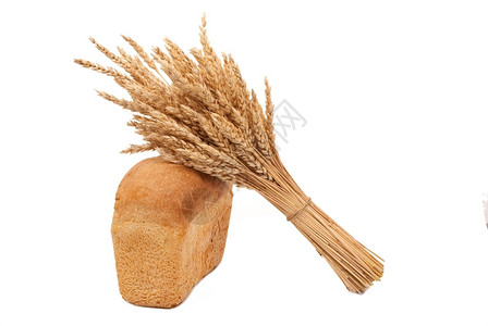 黑麦玉米植物有耳朵的面包图片