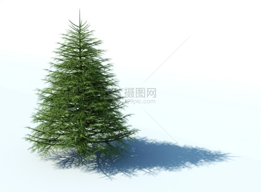 白色背景上的圣诞树图片
