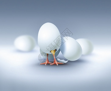 鸡宝宝点赞家禽配鸡蛋的新生命概念图象复活节自然设计图片