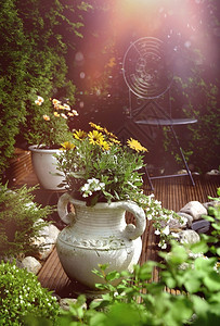 和平的花园院子与阳光耀斑的感觉夏天花白色图片