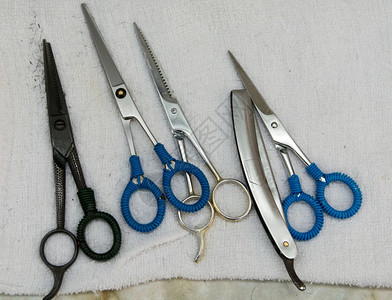 关心专业的美发师理工具剪刀和剃须图片