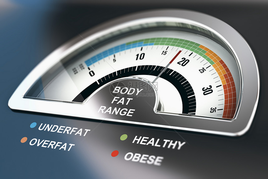 身体脂肪范围计算器用以下字词进行计算脂肪下健康上和3D模糊水平的图片