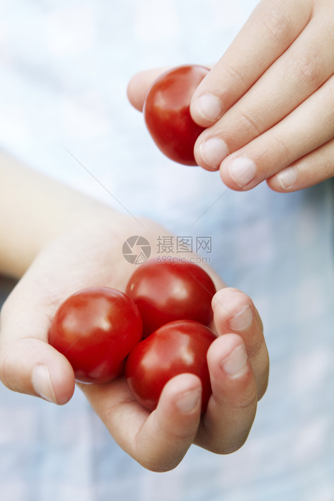 手心里的小番茄图片