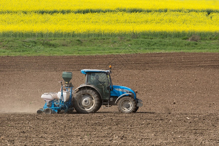 季节农艺学用拖拉机耕作田地一种图片
