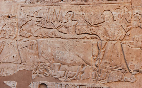 埃及在卢克索寺墙上的埃及救济帝雕刻象形文字图片