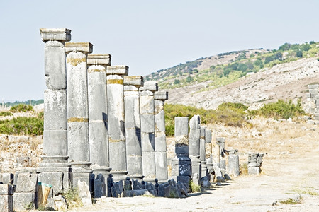 Volubilis北非摩洛哥罗马Basilica废墟非洲人考古学历史图片