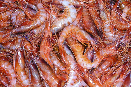 美食穆尔西亚十足目动物红虾最近捕鱼的红虾市场地中海阿吉拉斯穆西亚班牙欧洲红色的高清图片素材