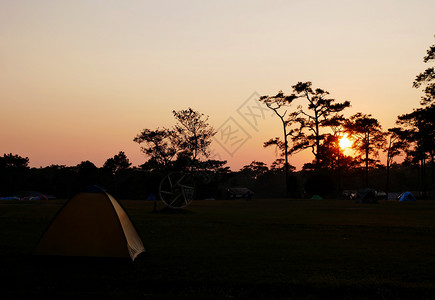 树日落时帐篷的背影日出阳光图片