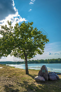 在阳光明媚的夏日美丽风景与孤单树和大块石头在河岸沿天空自然景观图片