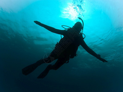 海底潜水的人图片