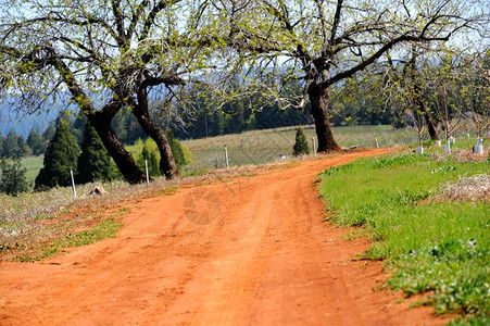 一种红土橡树和开阔的田地与本底森林相距远的红土横穿泥路草林和年轻的果园位于足迹右侧本迪克森图片