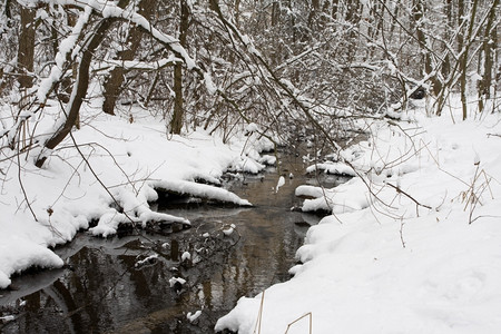 美丽的冬天在森林中漫步的溪水寒冷雪图片