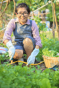 收获家庭花园中放松运动的亚洲女户外士图片